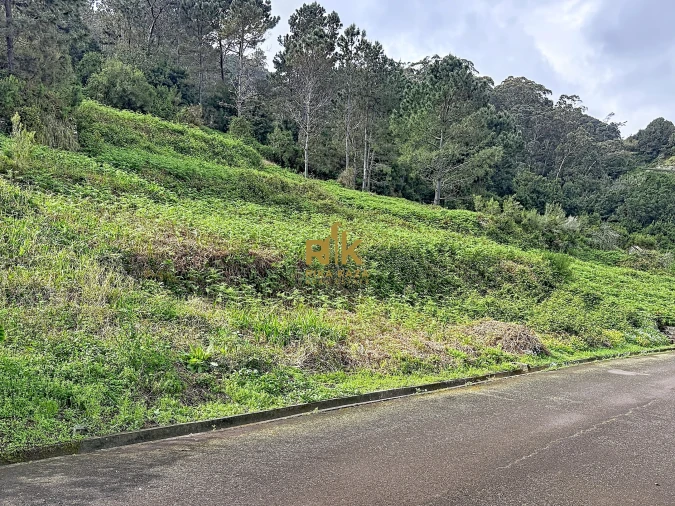 Terreno para Venda em Ribeira da Janela Foto 13