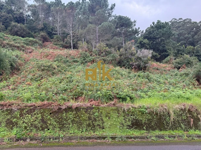 Terreno para Venda em Ribeira da Janela Foto 2