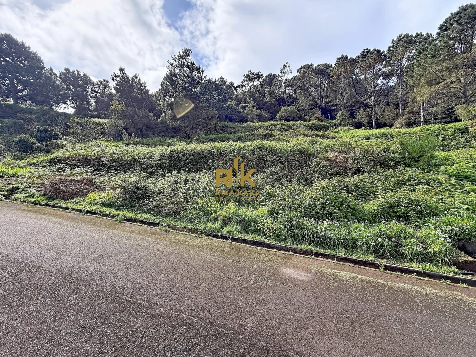 Terreno para Venda em Ribeira da Janela Foto 8