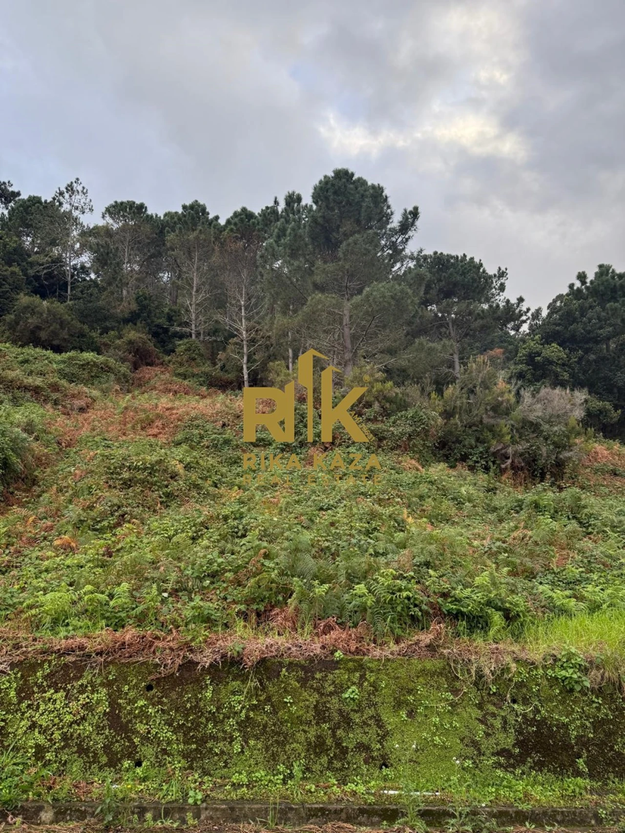 Terreno para Venda em Ribeira da Janela Foto 6