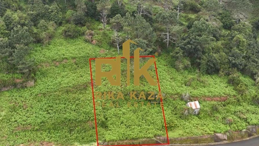 Terreno para Venda em Ribeira da Janela
