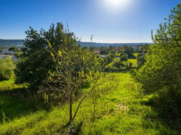 Terreno para Venda em Loule (São Sebastião)