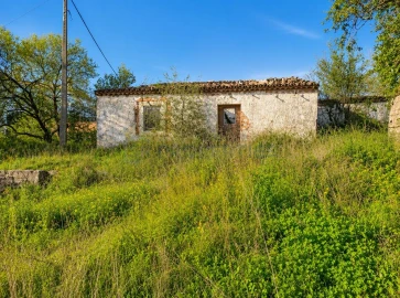 Terreno para Venda em Loule (São Sebastião)