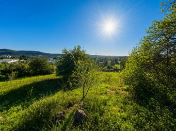 Terreno para Venda em Loule (São Sebastião)