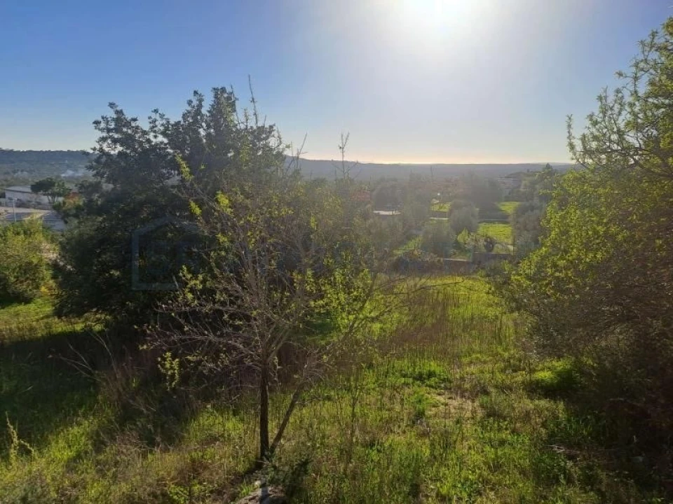 Terreno para Venda em Loule (São Sebastião) Foto 6