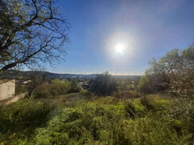 Terreno para Venda em Loule (São Sebastião) Foto 2