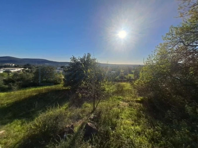 Terreno para Venda em Loule (São Sebastião) Foto 5