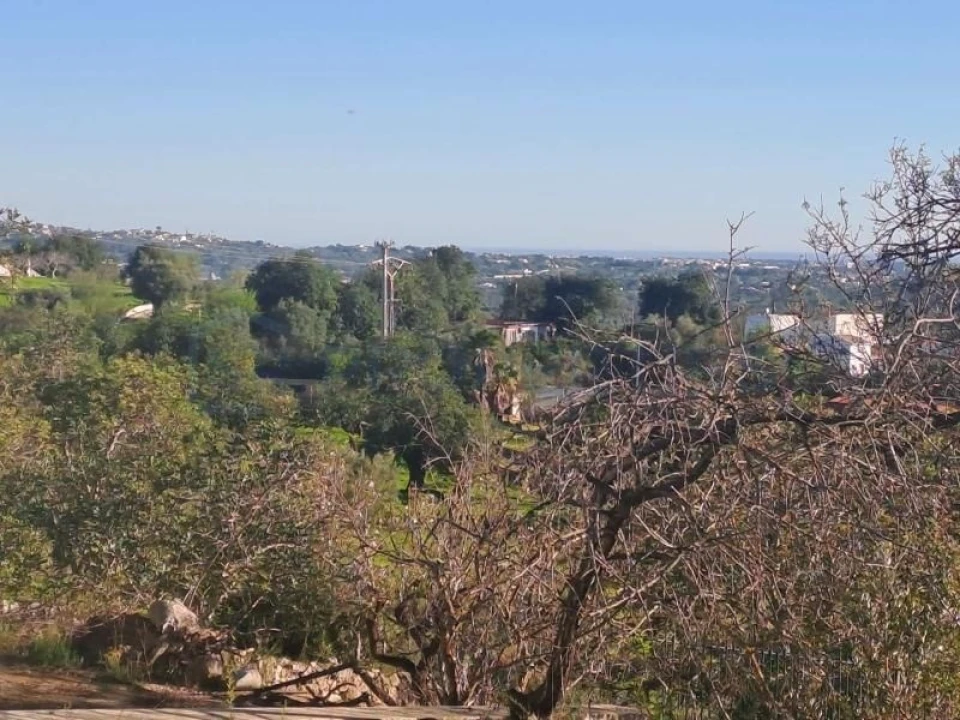 Terreno para Venda em Loule (São Sebastião) Foto 4