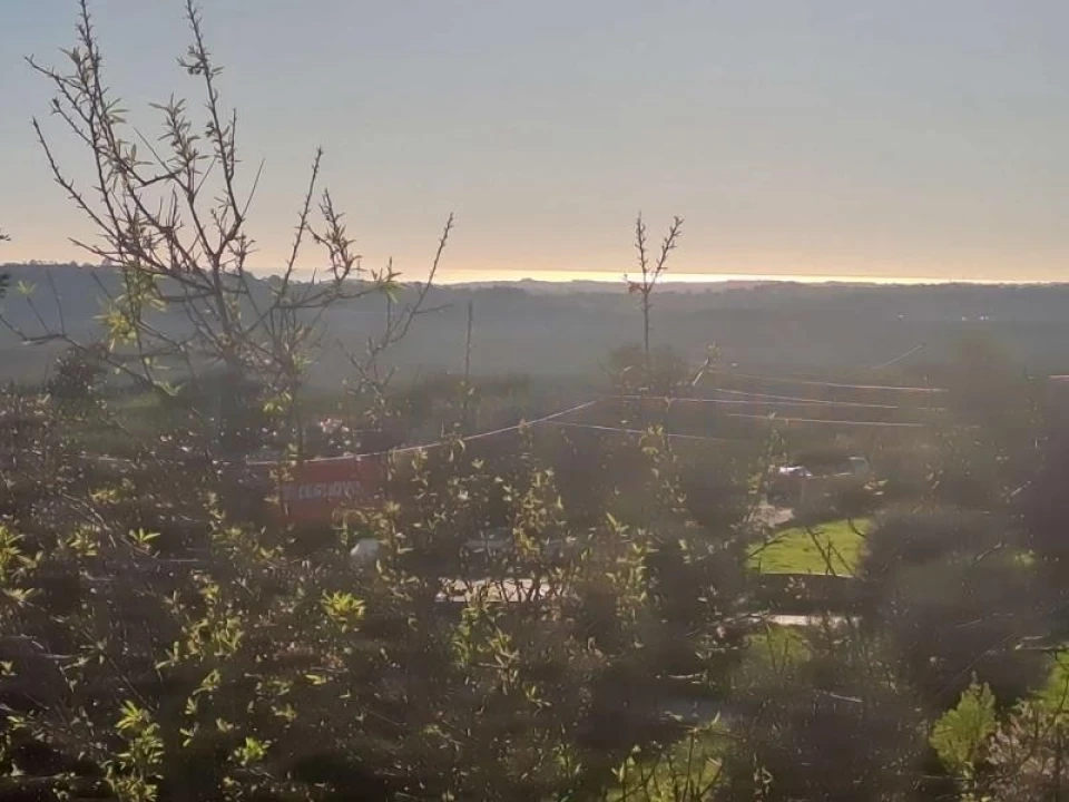 Terreno para Venda em Loule (São Sebastião) Foto 8