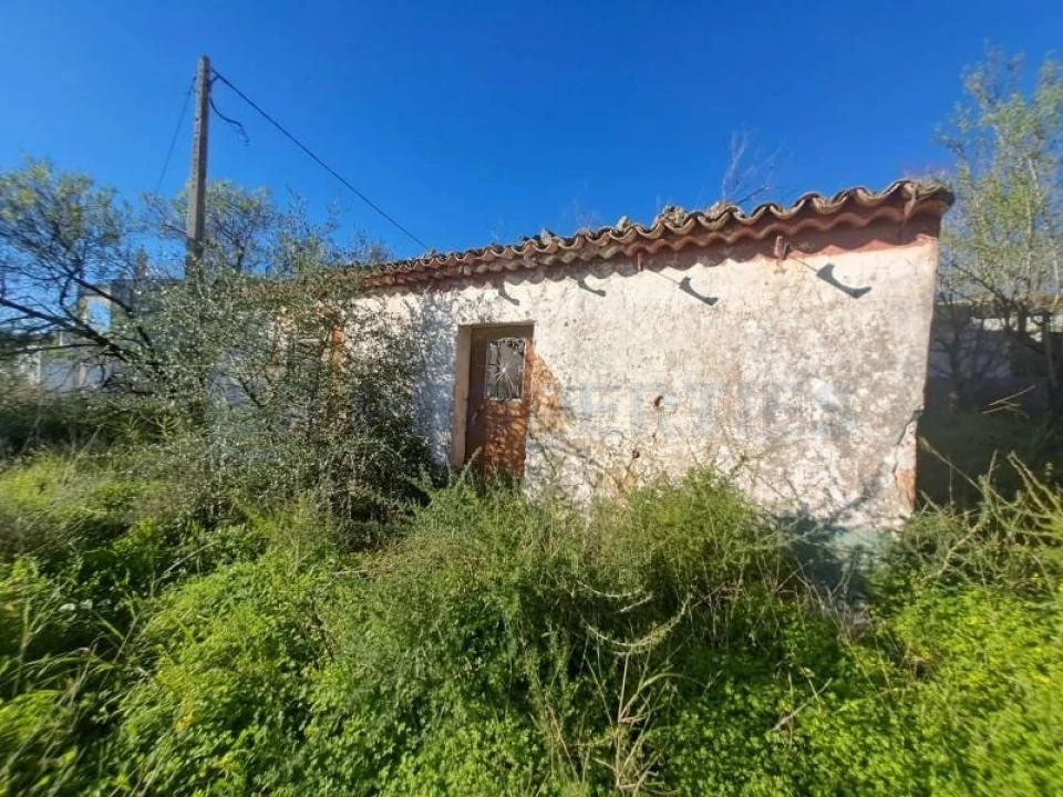 Terreno para Venda em Loule (São Sebastião) Foto 3