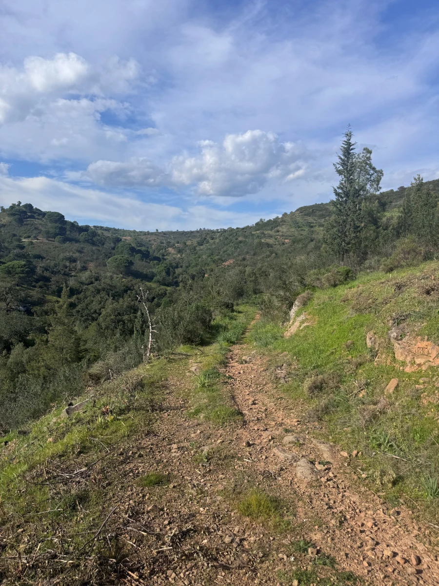 Terreno para Venda em Santa Catarina da Fonte do Bispo Foto 4