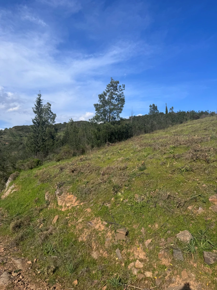 Terreno para Venda em Santa Catarina da Fonte do Bispo Foto 3