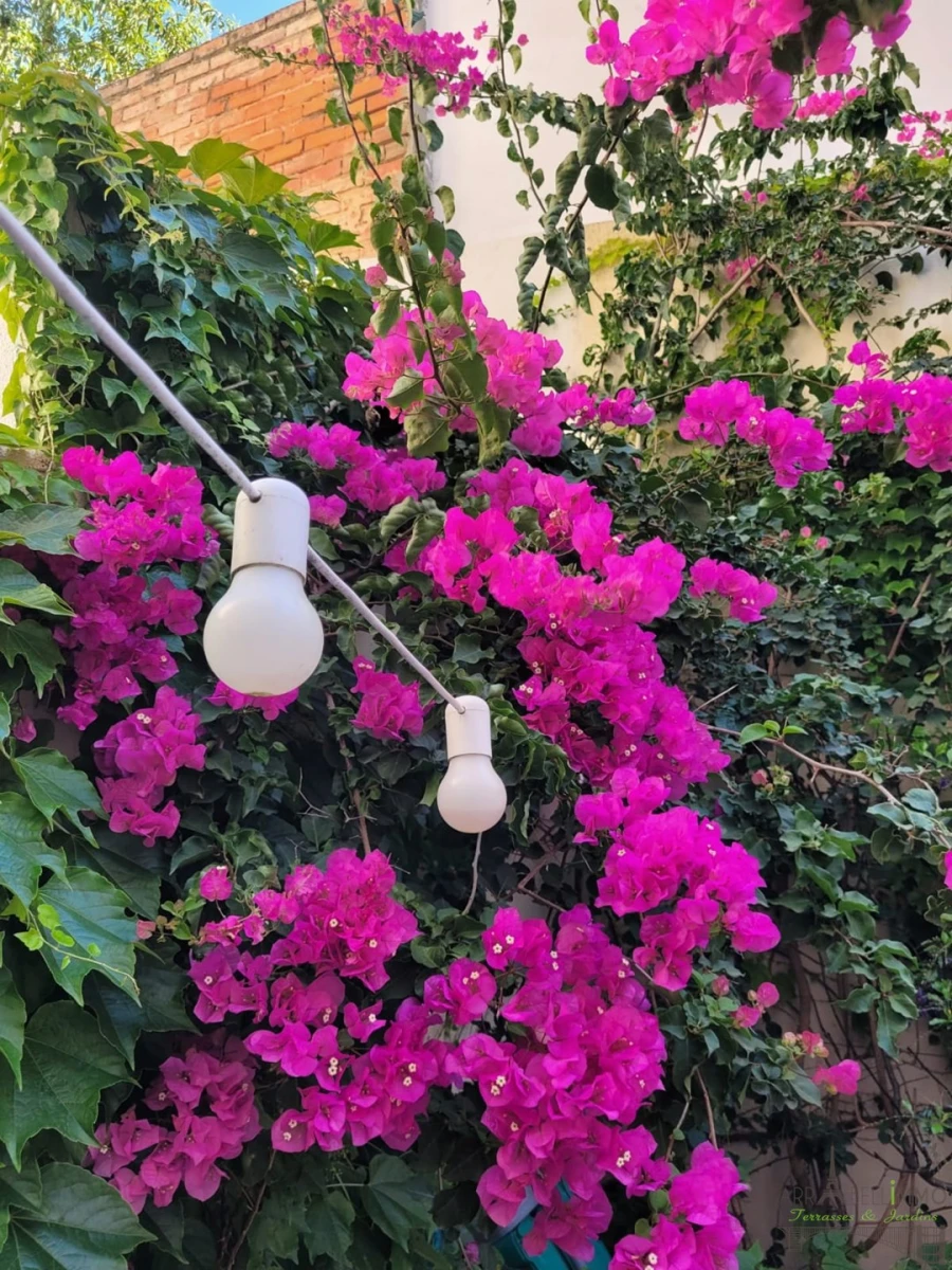 Apartamento T2 para Venda em Campolide Foto 3