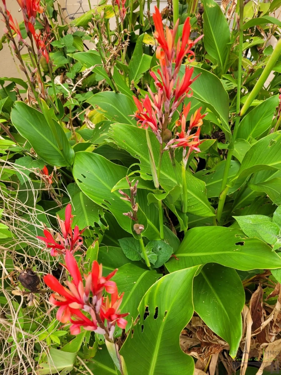 Apartamento T2 para Venda em Campolide Foto 7