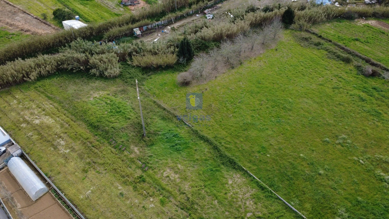 Terreno para Venda em Olho Marinho Foto 9