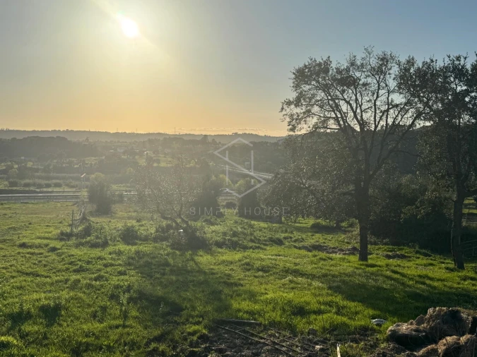 Terreno para Venda em Marvila, Ribeira Santarém, São Salvador, São Nicolau Foto 10