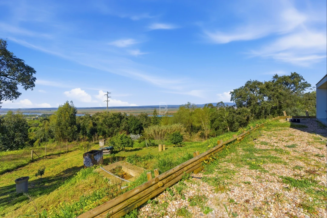 Moradia T5 para Venda em Chamusca e Pinheiro Grande Foto 67