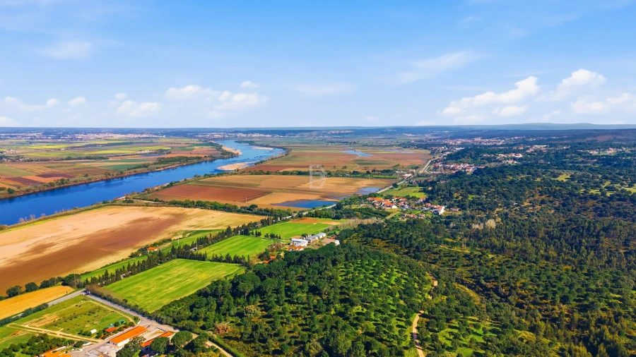 Moradia T5 para Venda em Chamusca e Pinheiro Grande Foto 78