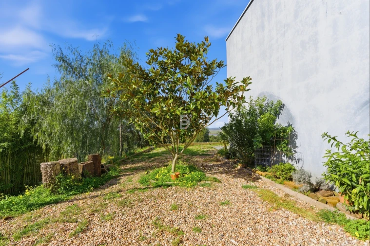 Moradia T5 para Venda em Chamusca e Pinheiro Grande Foto 68