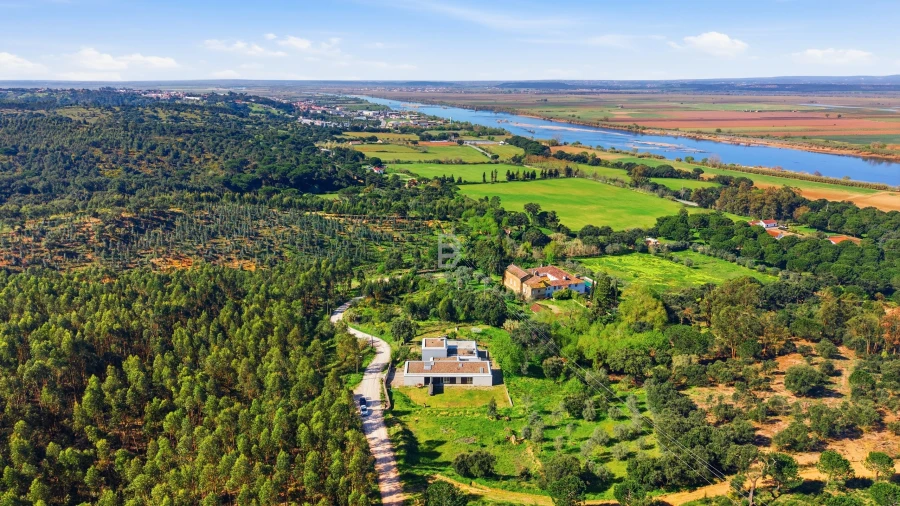 Moradia T5 para Venda em Chamusca e Pinheiro Grande Foto 2