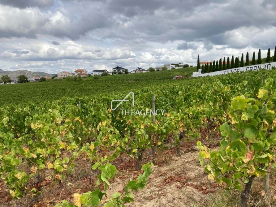 Terreno para Venda em Alijo Foto 5