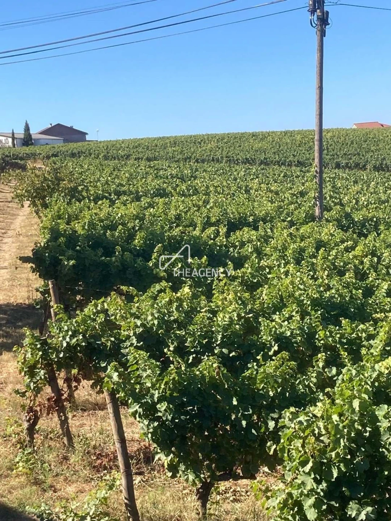 Terreno para Venda em Alijo Foto 18