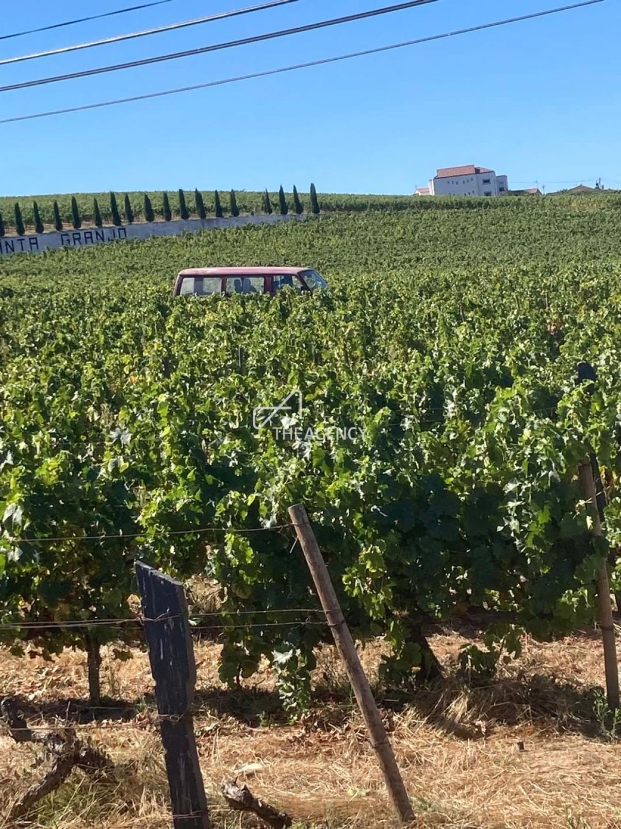Terreno para Venda em Alijo Foto 23