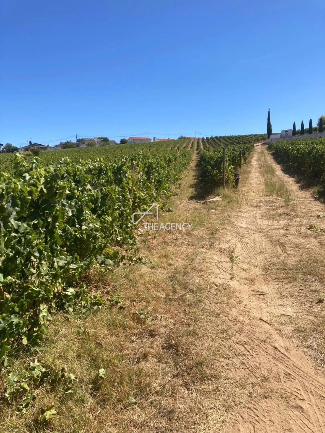 Terreno para Venda em Alijo Foto 15