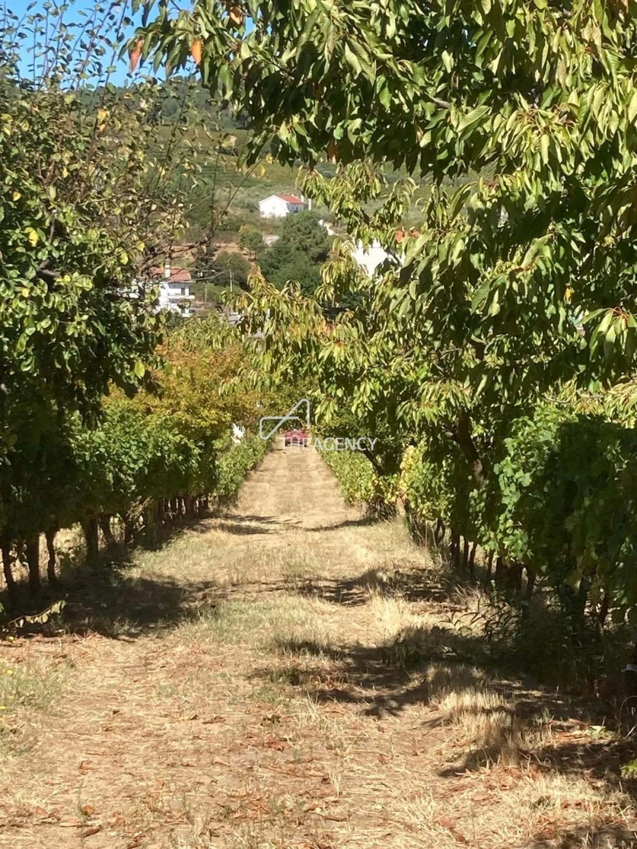 Terreno para Venda em Alijo Foto 25