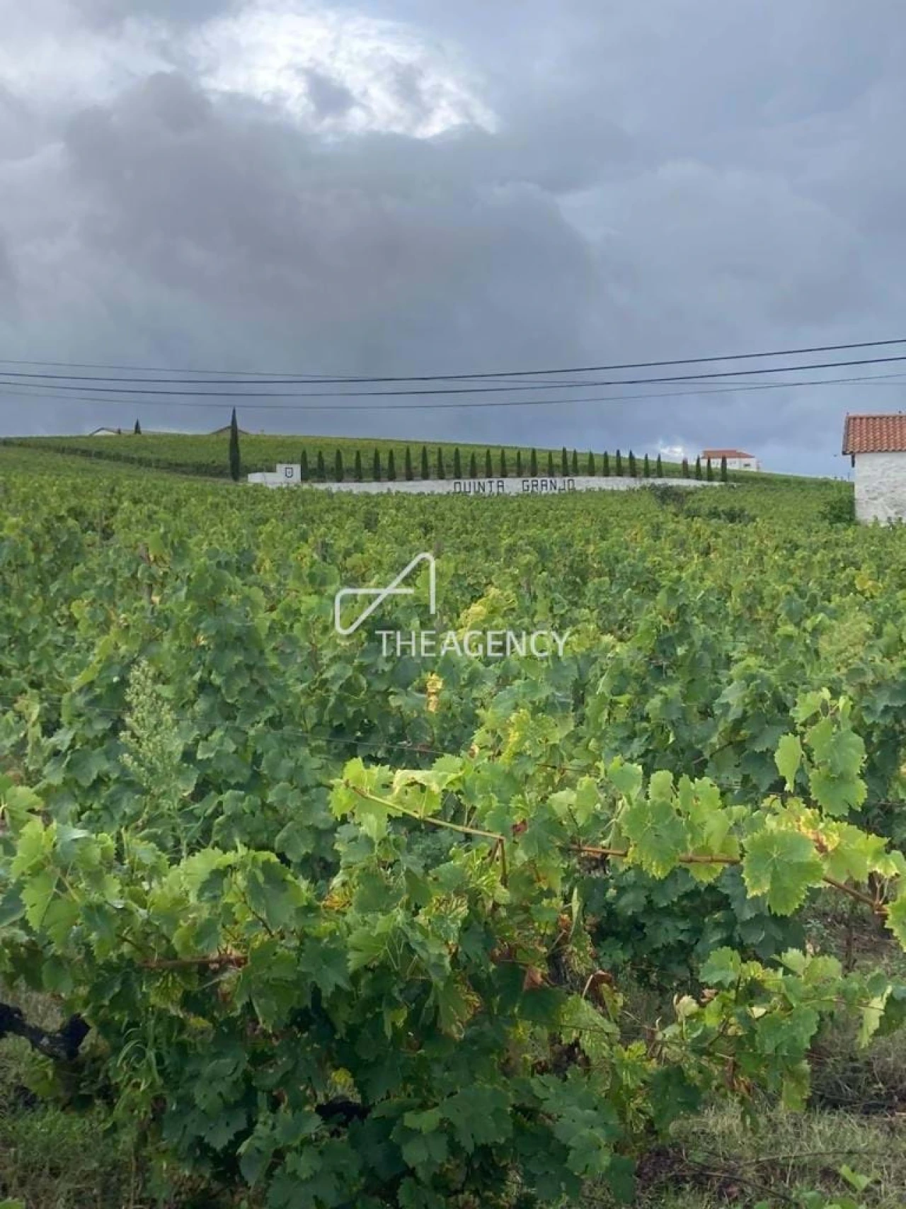 Terreno para Venda em Alijo Foto 7