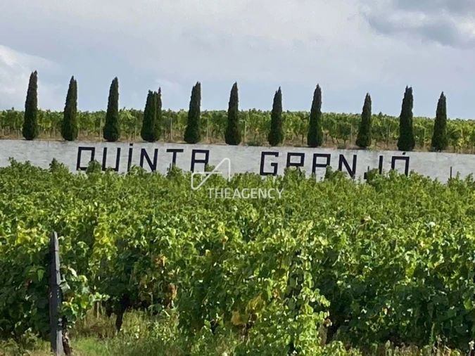 Terreno para Venda em Alijo Foto 8