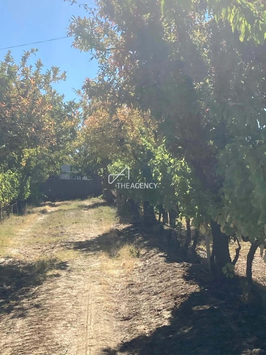 Terreno para Venda em Alijo Foto 17