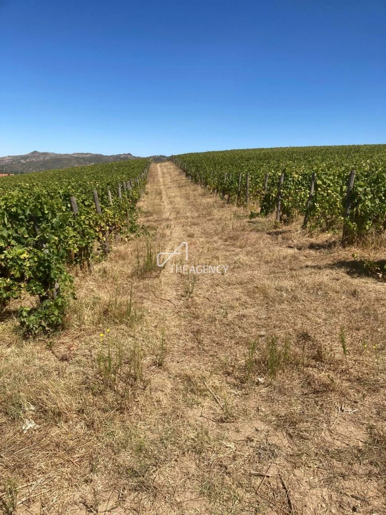 Terreno para Venda em Alijo Foto 19