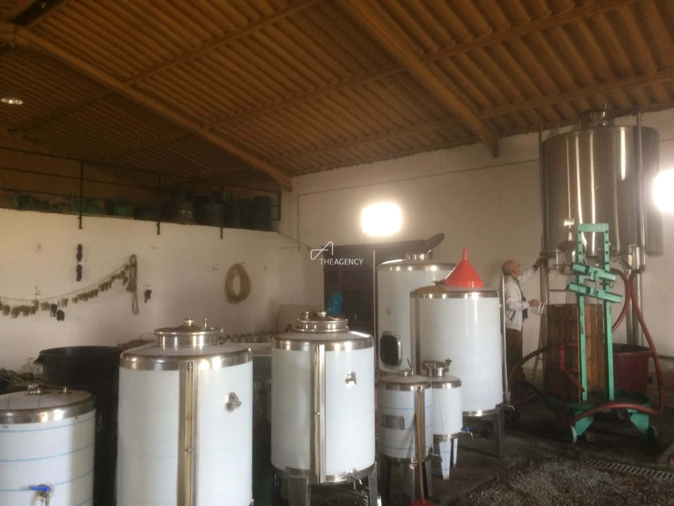 Terreno para Venda em Alijo Foto 10