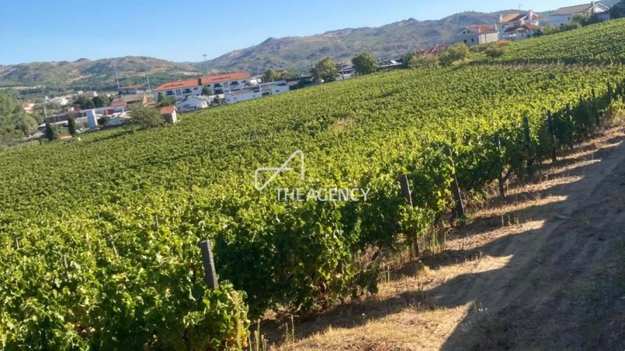 Terreno para Venda em Alijo