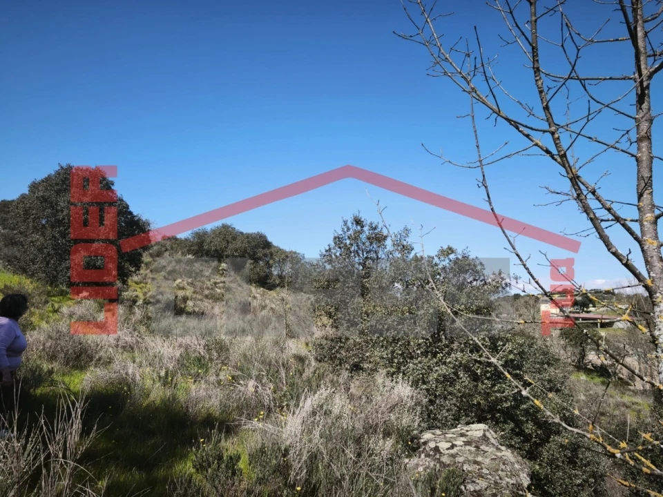 Terreno para Venda em Abambres Foto 2