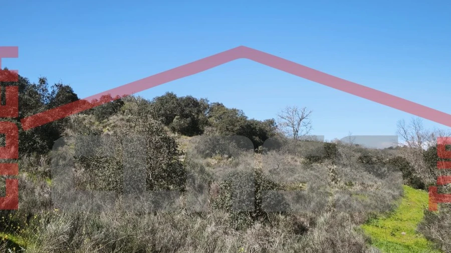 Terreno para Venda em Abambres