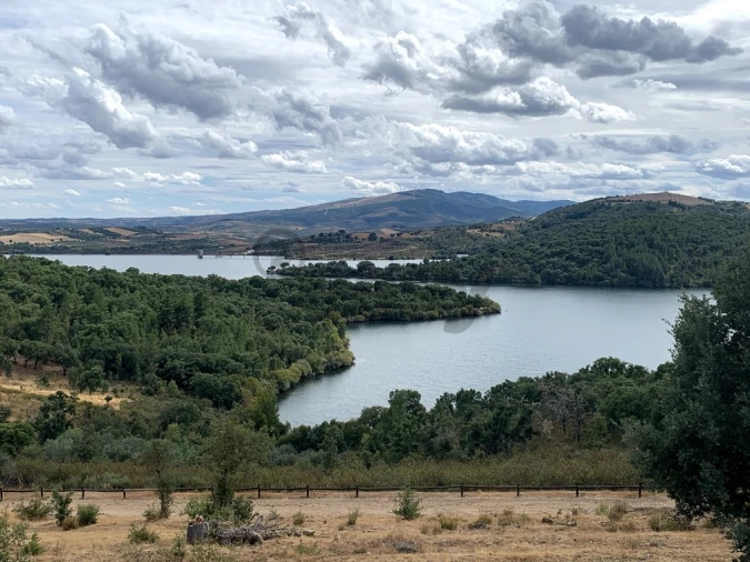 Terreno para Venda em Macedo de Cavaleiros Foto 8