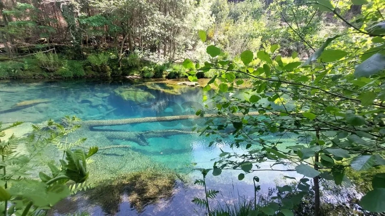 Negócio para Venda em Covas Foto 31
