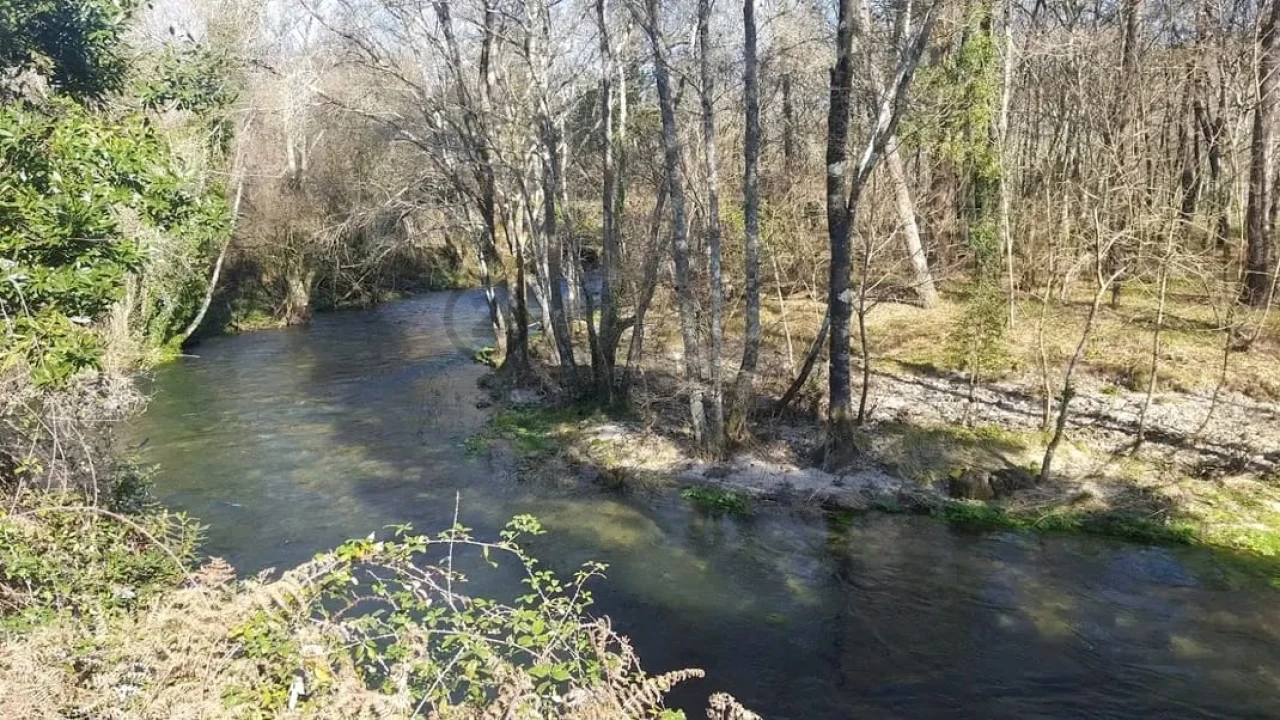 Negócio para Venda em Covas Foto 28