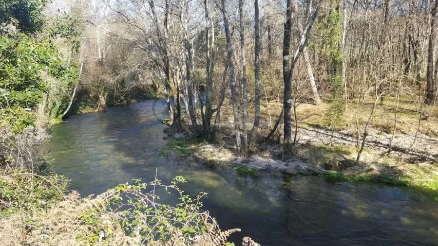 Negócio para Venda em Covas Foto 28