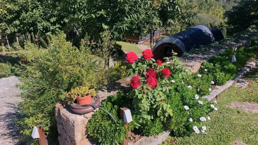 Negócio para Venda em Covas Foto 14
