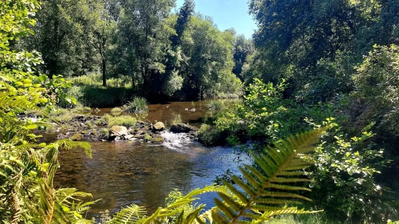 Negócio para Venda em Covas Foto 30