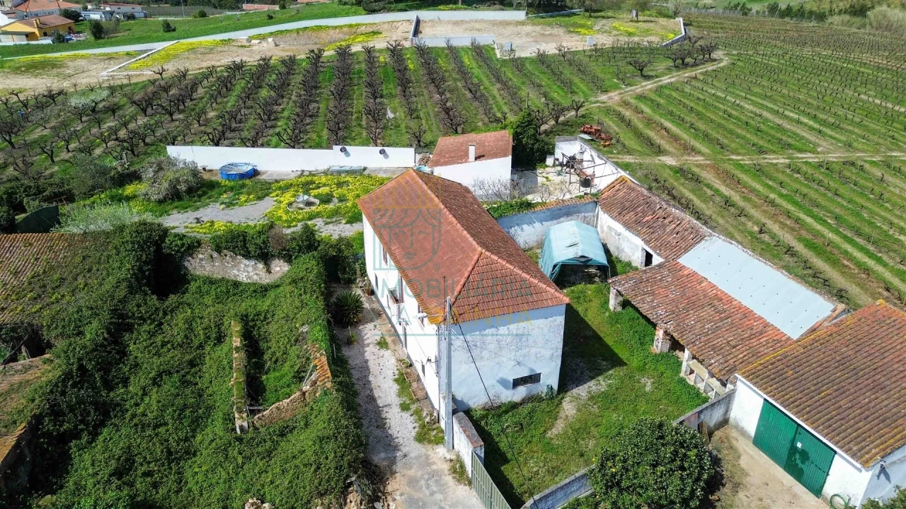 Moradia T3 para Venda em Carvalhal Foto 22