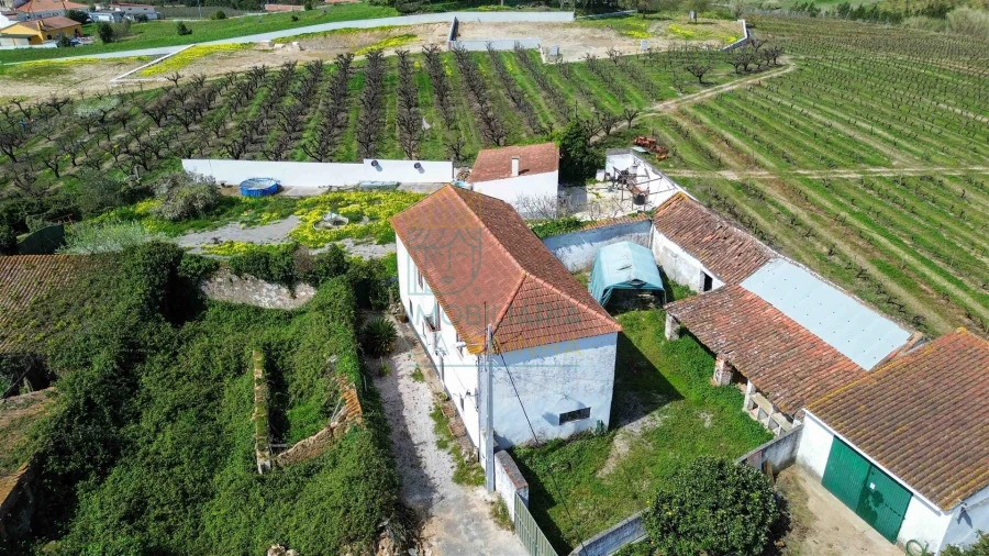 Moradia T3 para Venda em Carvalhal Foto 22