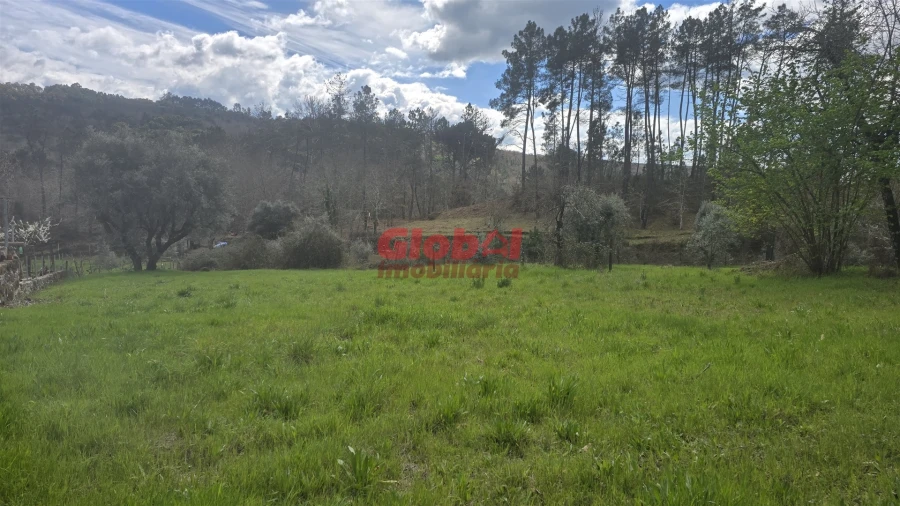 Terreno para Venda em Santos Evos Foto 1