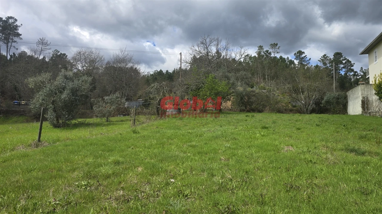 Terreno para Venda em Santos Evos Foto 2