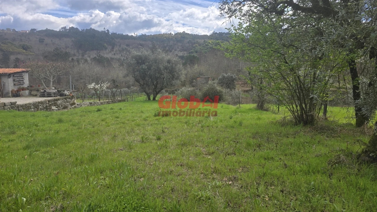 Terreno para Venda em Santos Evos Foto 3