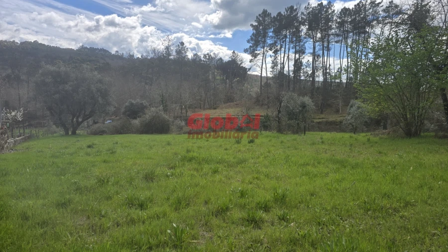 Terreno para Venda em Santos Evos