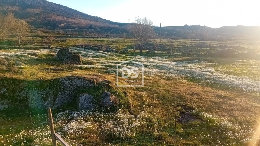 Terreno Agricola ou Rústico para Venda em Casteleiro Foto 2